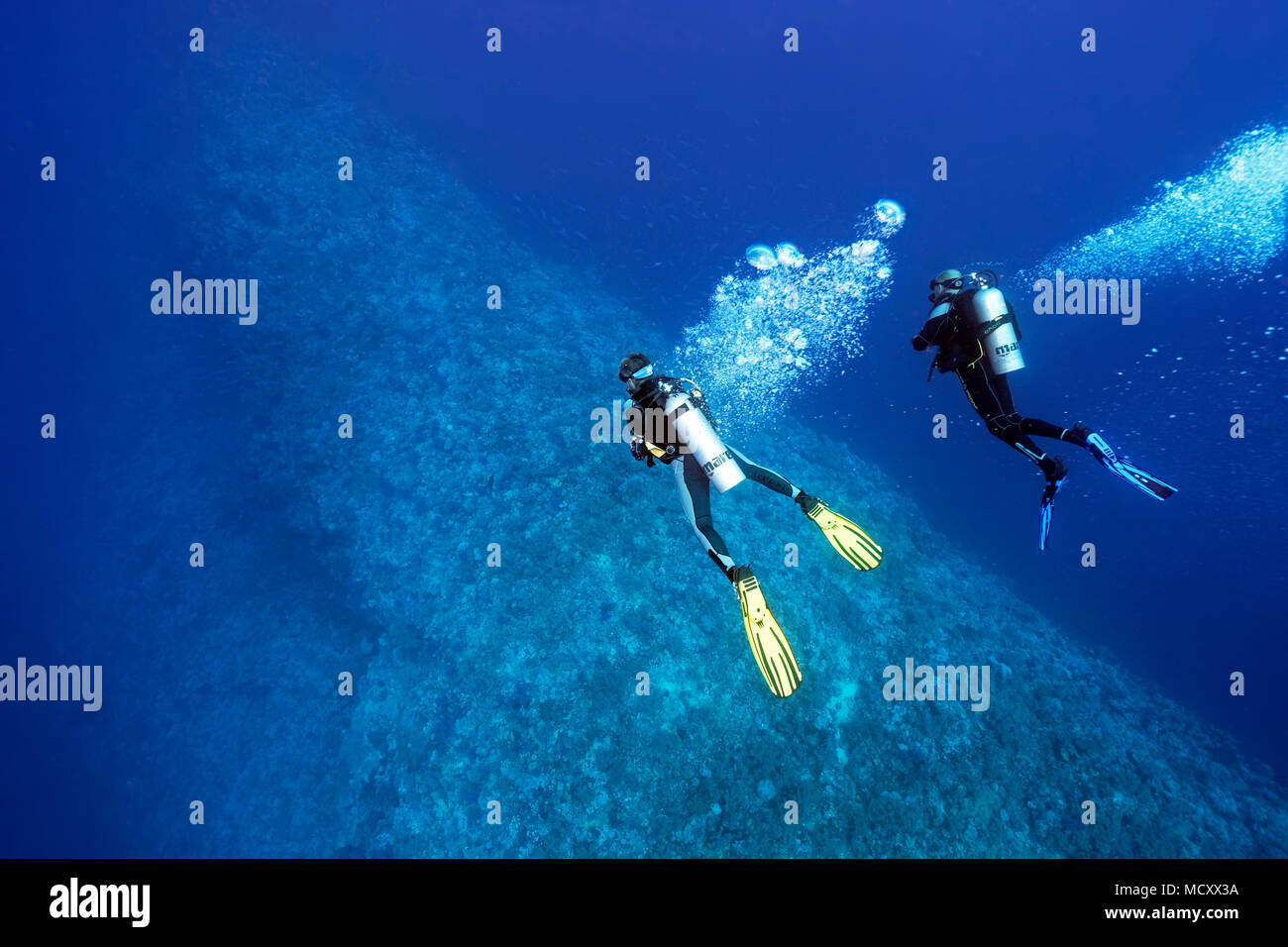Deux plongeurs plongée sous-marine sur les récifs coralliens, la plongée profonde, Elphinstone Reef, plateau nord, Red Sea, Egypt Banque D'Images
