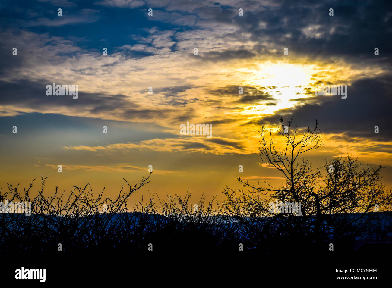 Vivid spectaculaire coucher de soleil sur les montagnes. Des nuages dans le ciel coloré, branches d'arbres au premier plan. Banque D'Images