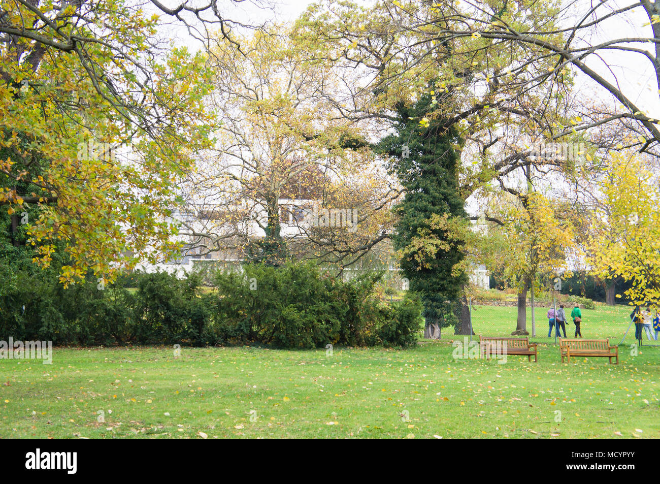 La villa Tugendhat, jardin Banque D'Images