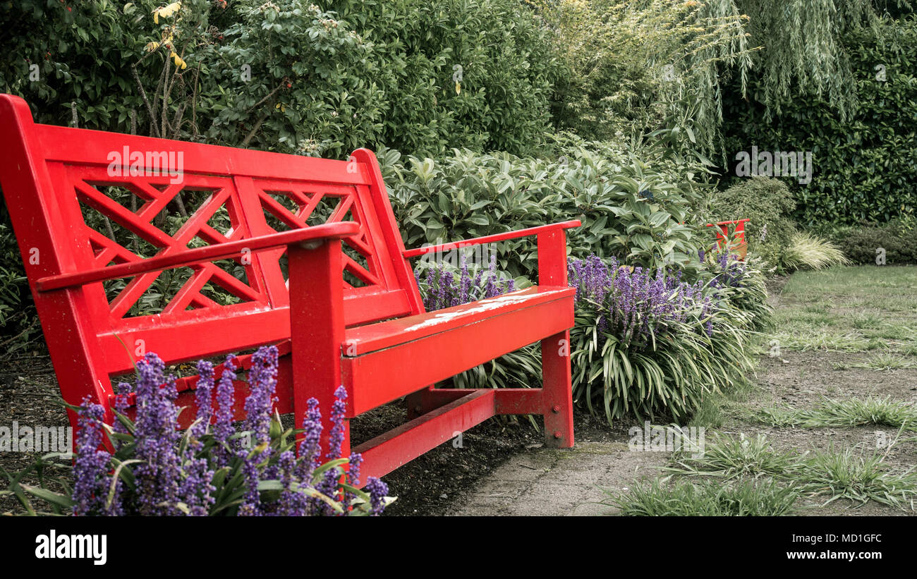 Banc avec lavanders encore dans les jardins de Hamilton, Nouvelle-Zélande, de la région de Waikato Banque D'Images