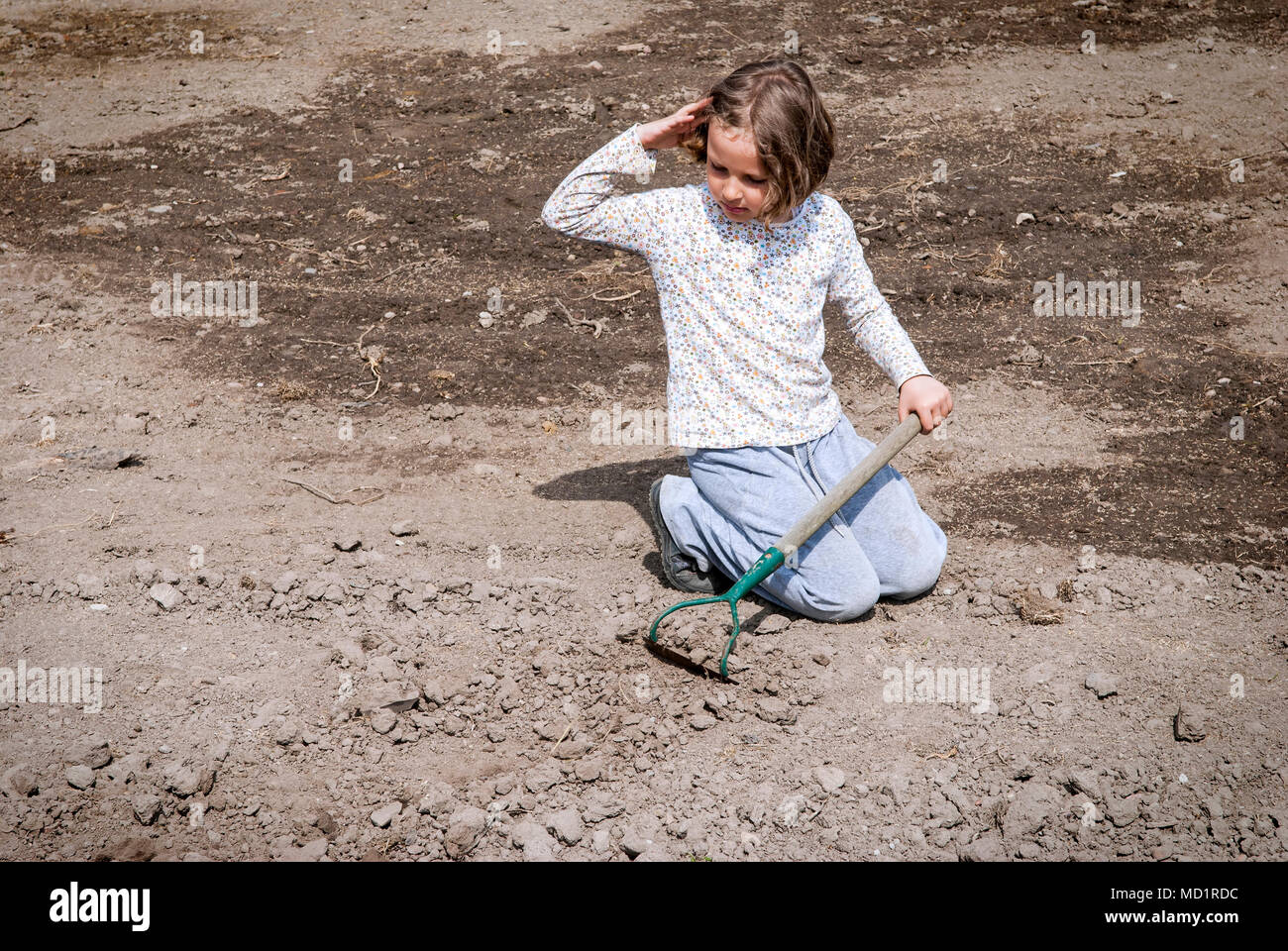 Fille de creuser dans le sol organique sèche par binette. Banque D'Images