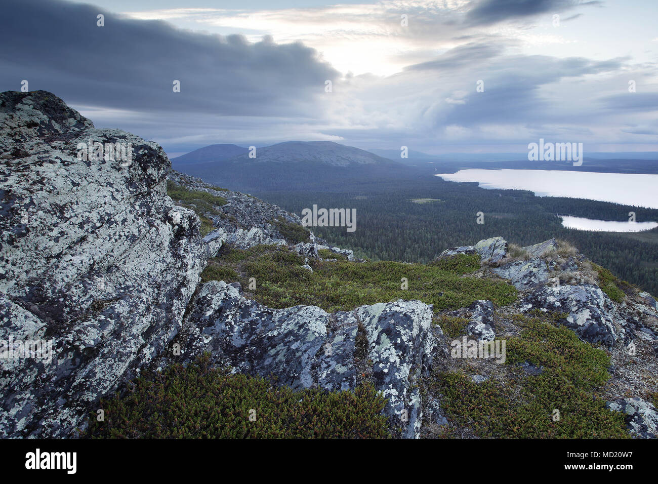 Fells en Muonio, Laponie, Finlande Banque D'Images