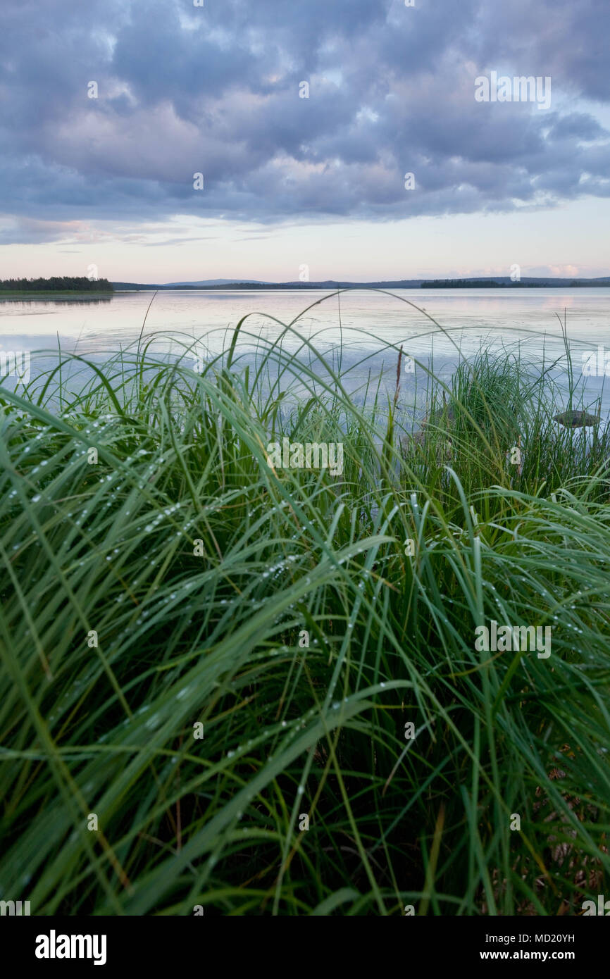 Lake en Laponie Finlandaise, Lisbonne Banque D'Images