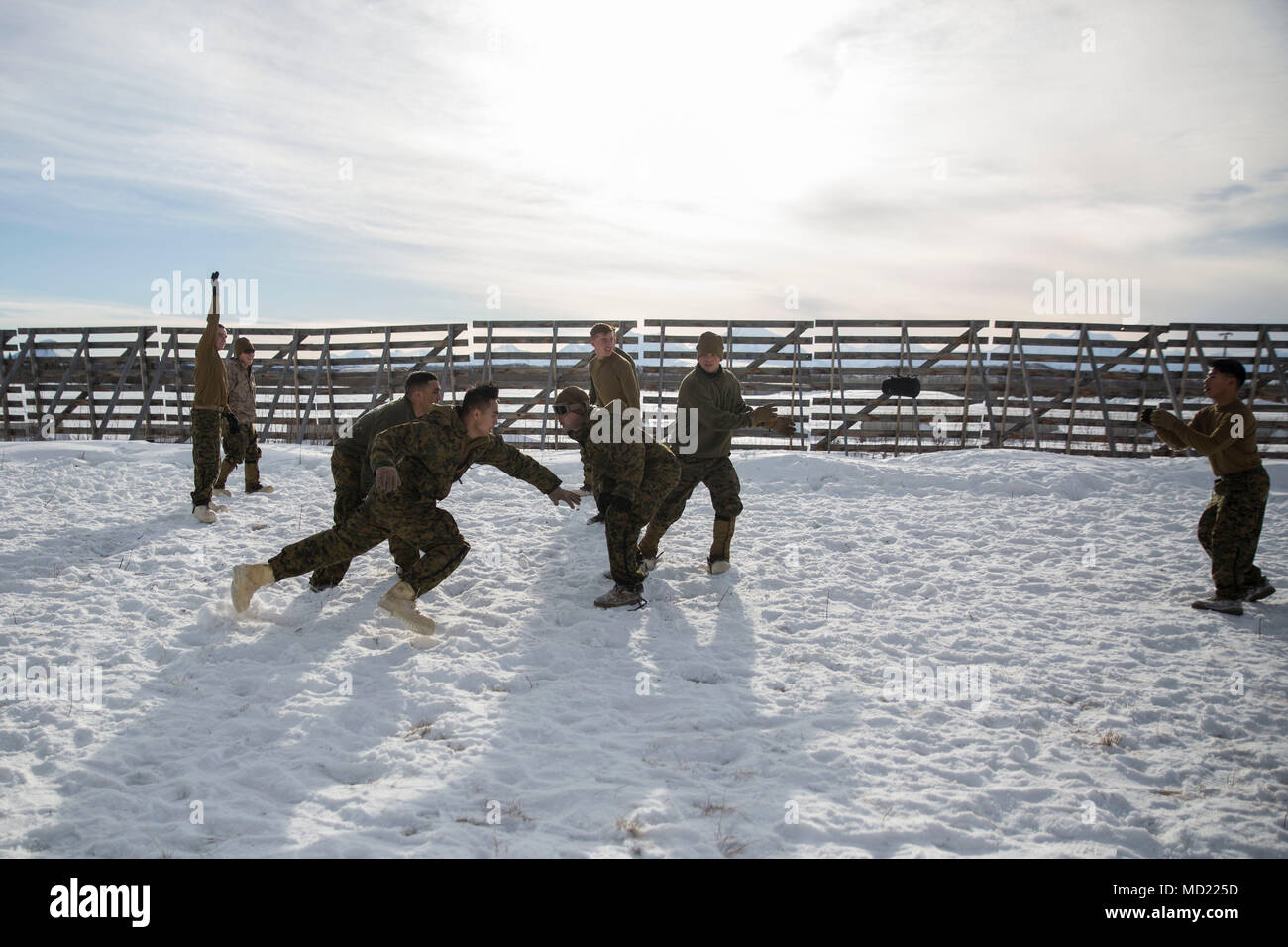 Marines avec la Force Arctic Edge construire la cohésion de l'unité par un match de foot à Fort Greely, en Alaska, au cours de l'exercice Arctic Edge 18, 12 mars 2018. Arctic Edge 18 est une bi, à grande échelle, de l'exercice de formation qui prépare et teste la capacité de l'armée américaine pour l'exploitation dans le plan tactique par temps froid extrême conditions trouvées dans les milieux arctiques avec plus de 1500 participants de l'Armée de l'air, de l'armée, de la Garde côtière, Marine Corps, et de la marine en utilisant l'unique et grand air et de la terre dans les zones de formation de l'Alaska. (U.s. Marine Corps photo par le Sgt. Brianna Gaudi) Banque D'Images
