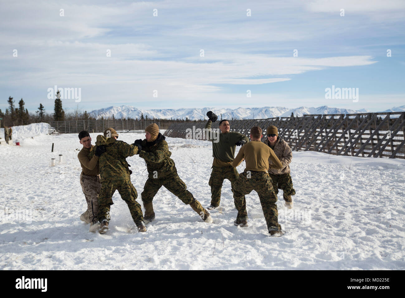 Marines avec la Force Arctic Edge construire la cohésion de l'unité par un match de foot à Fort Greely, en Alaska, au cours de l'exercice Arctic Edge 18, 12 mars 2018. Arctic Edge 18 est une bi, à grande échelle, de l'exercice de formation qui prépare et teste la capacité de l'armée américaine pour l'exploitation dans le plan tactique par temps froid extrême conditions trouvées dans les milieux arctiques avec plus de 1500 participants de l'Armée de l'air, de l'armée, de la Garde côtière, Marine Corps, et de la marine en utilisant l'unique et grand air et de la terre dans les zones de formation de l'Alaska. (U.s. Marine Corps photo par le Sgt. Brianna Gaudi) Banque D'Images