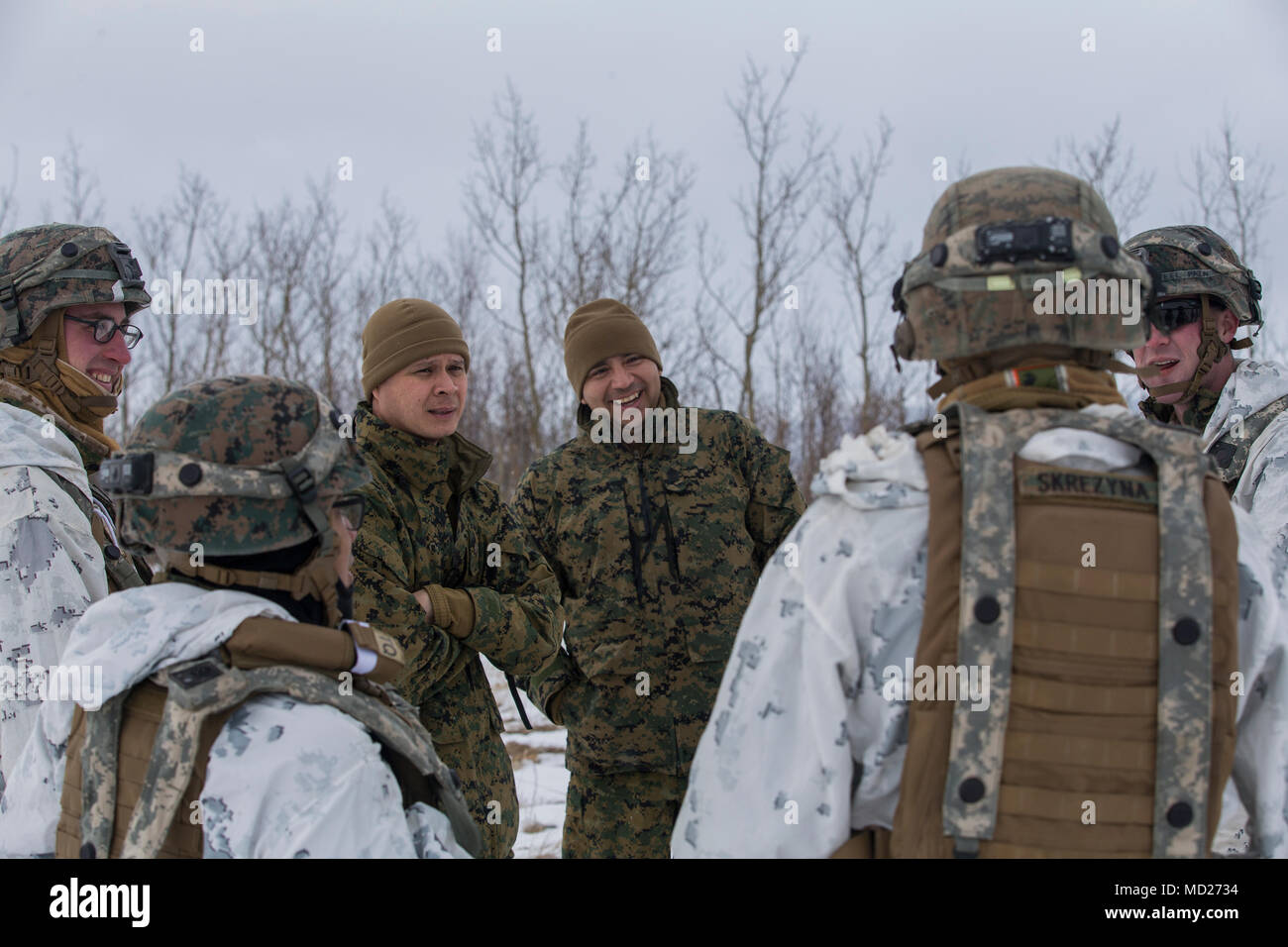 Le Major Sean Moore, l'officier responsable de la Task Force Arctic Edge, 25 Régiment de logistique de combat, centre-gauche, et 1er Sgt. Sergio Barrios, CLR-25 premier sergent, 2e Groupe Logistique Maritime, centre-droit, parler à marines avec 3e Bataillon, 8e Régiment de Marines, 2e Division de marines, pendant l'exercice Arctic Edge 18, à Fort Greely, en Alaska, le 14 mars 2018. Les Marines font partie de l'armée américaine dirigée par l'Alaska de la composante terrestre de la Force conjointe à l'appui de la commande de l'Alaska l'exercice Arctic Edge 18 menée sous l'autorité du Commandement du Nord des États-Unis. Arctic Edge 2018 est un exercice biennal, à grande échelle, des Banque D'Images