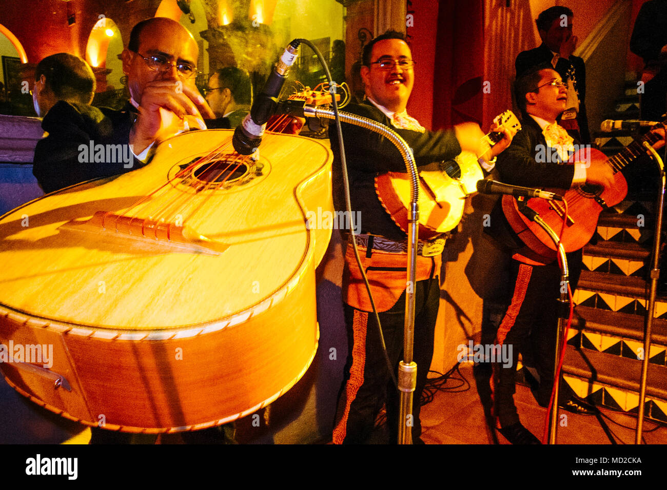 Un mariachi band joue le guitarrón mexicain (big Mexican guitare) au restaurant des Focolari a ouvert ses portes en 1953 dans les locaux d'une ancienne hac traditionnels Banque D'Images