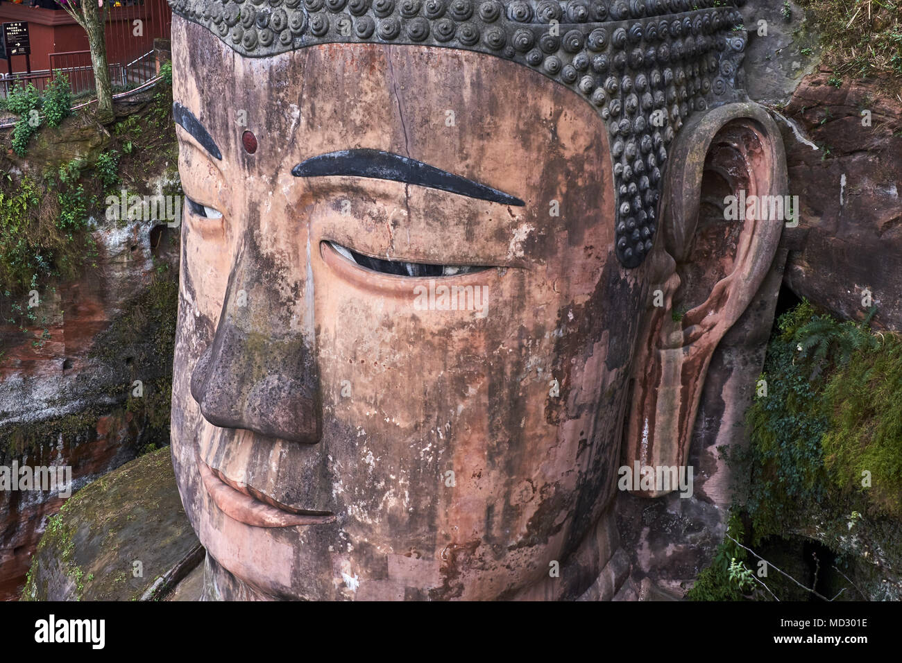 Chine, province du Sichuan, le mont Emei, le bouddha géant de Leshan, classé au patrimoine mondial de l'Unesco Banque D'Images