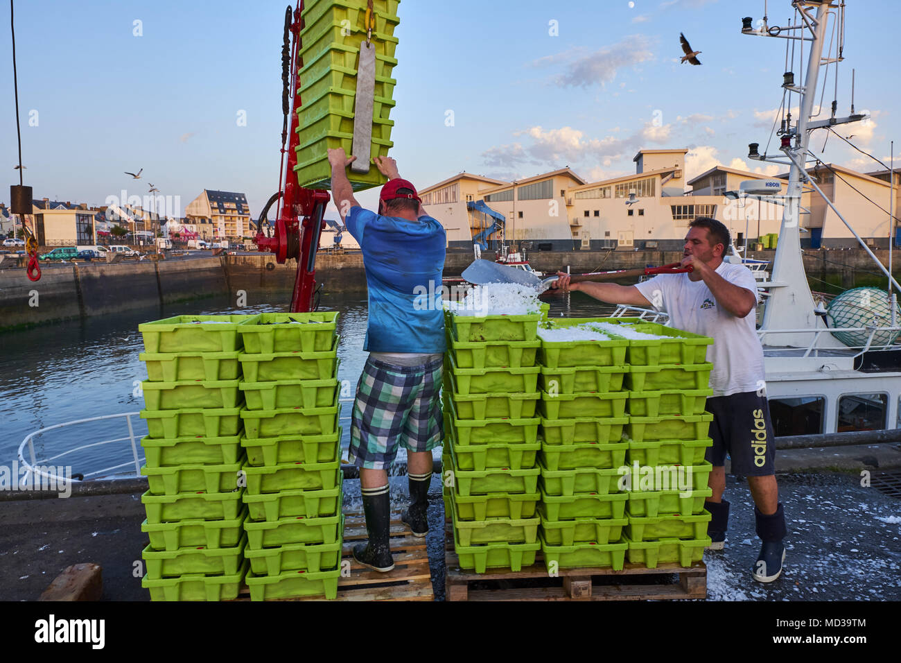 France, Loire-Atlantique, La Turballe, port de pêche de la sardine Photo  Stock - Alamy