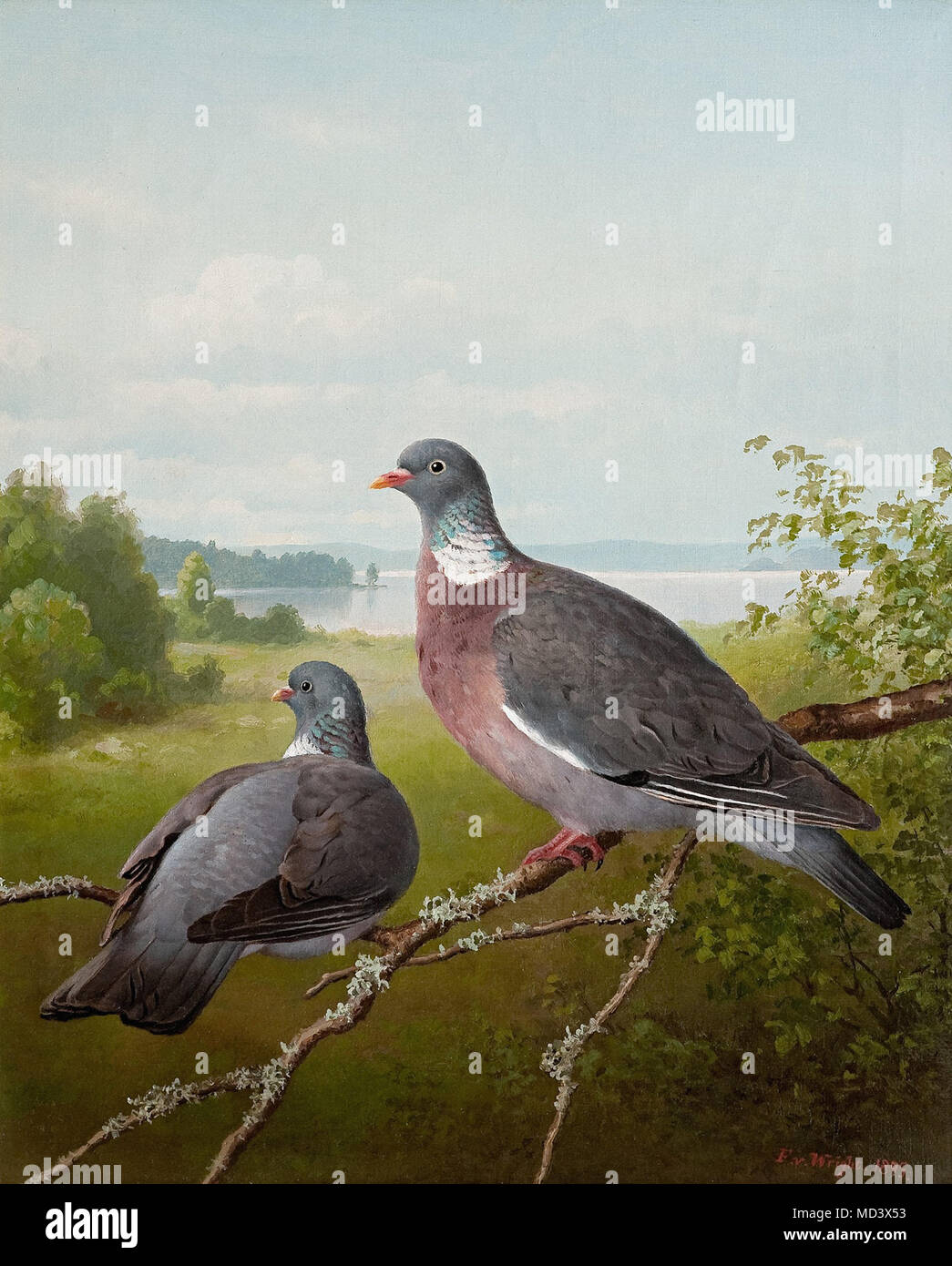 Ferdinand von Wright - Pigeons 1 Banque D'Images