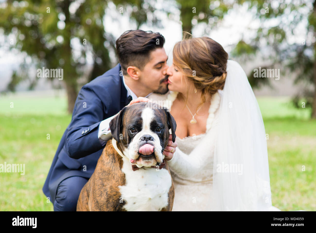 Portrait de la jeune mariée et le jeune marié avec leur chien Banque D'Images