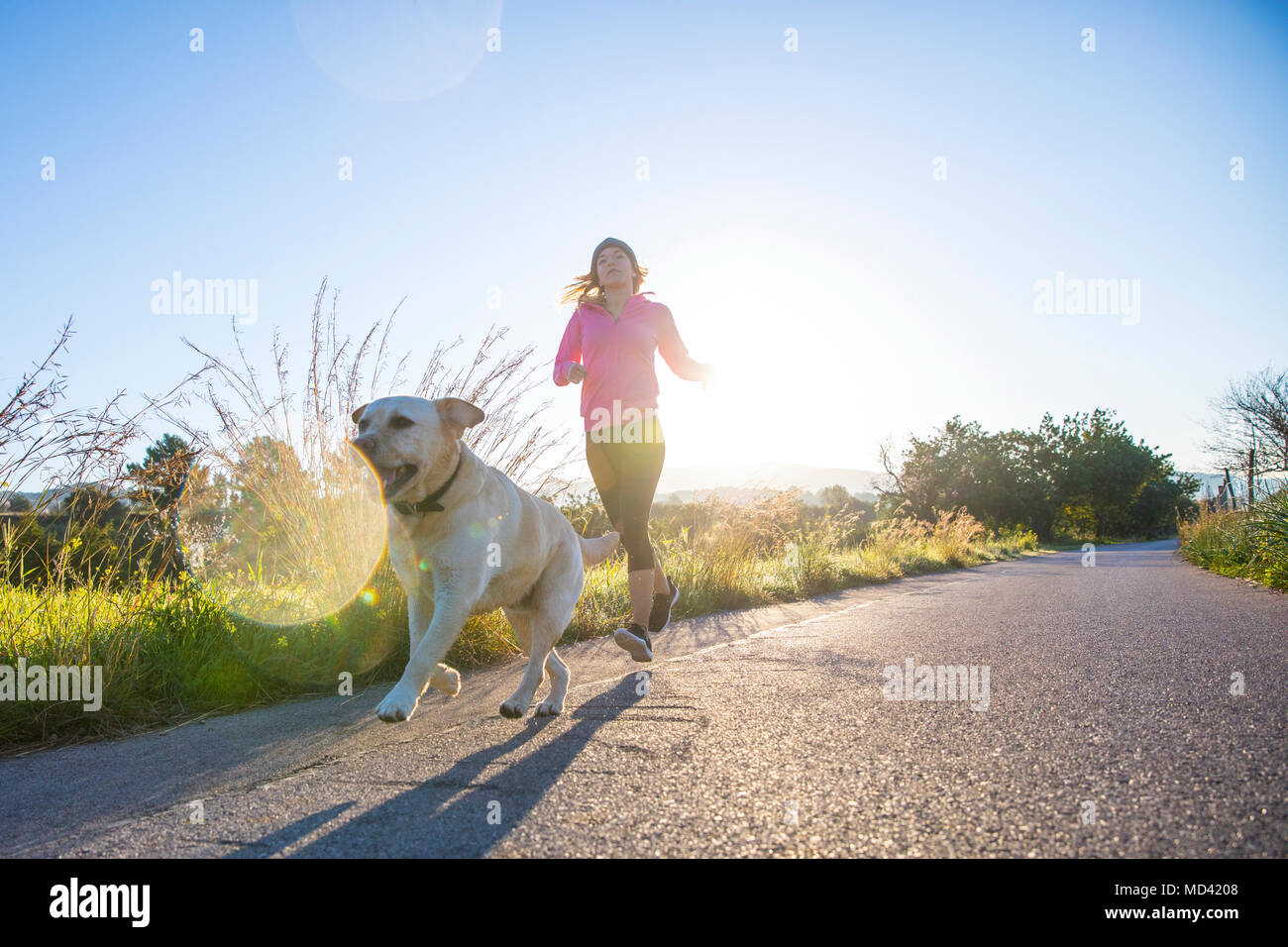 Jeune femme tournant le long chemin rural avec chien de compagnie, low angle view Banque D'Images