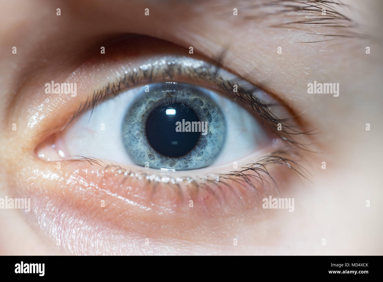Portrait Of Beautiful Blue Woman Eye Looking at Camera avec pupille dilatée Banque D'Images
