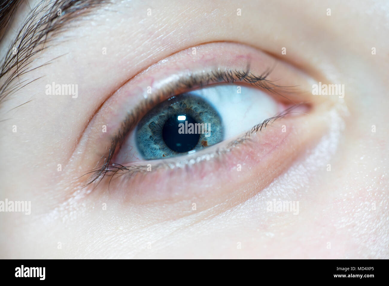 Portrait Of Beautiful Blue Woman Eye Looking at Camera avec pupille dilatée Banque D'Images