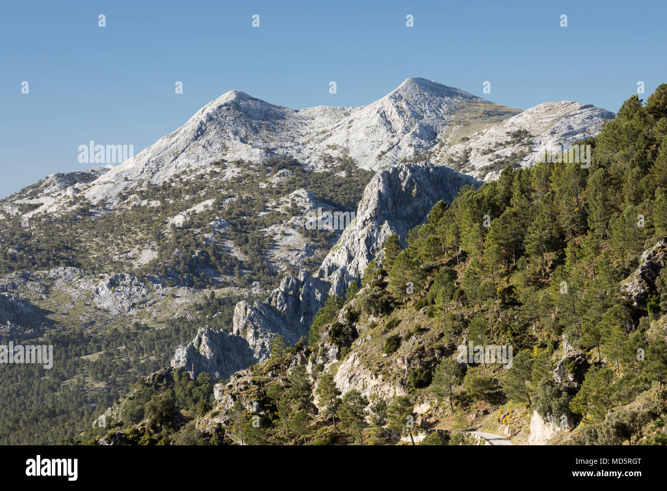 Les pics d'El Simancon et El Reloj avec les montagnes Sierra del Pinar, Parc Naturel Sierra de Grazalema, Andalousie, Espagne, Europe Banque D'Images