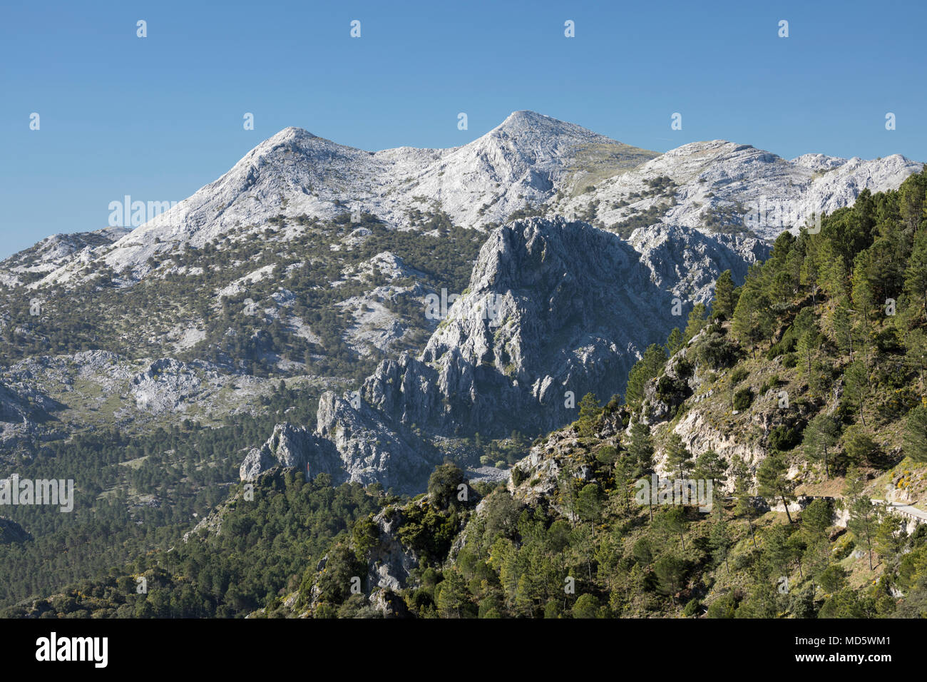 Les pics d'El Simancon et El Reloj avec les montagnes Sierra del Pinar, Parc Naturel Sierra de Grazalema, Andalousie, Espagne, Europe Banque D'Images