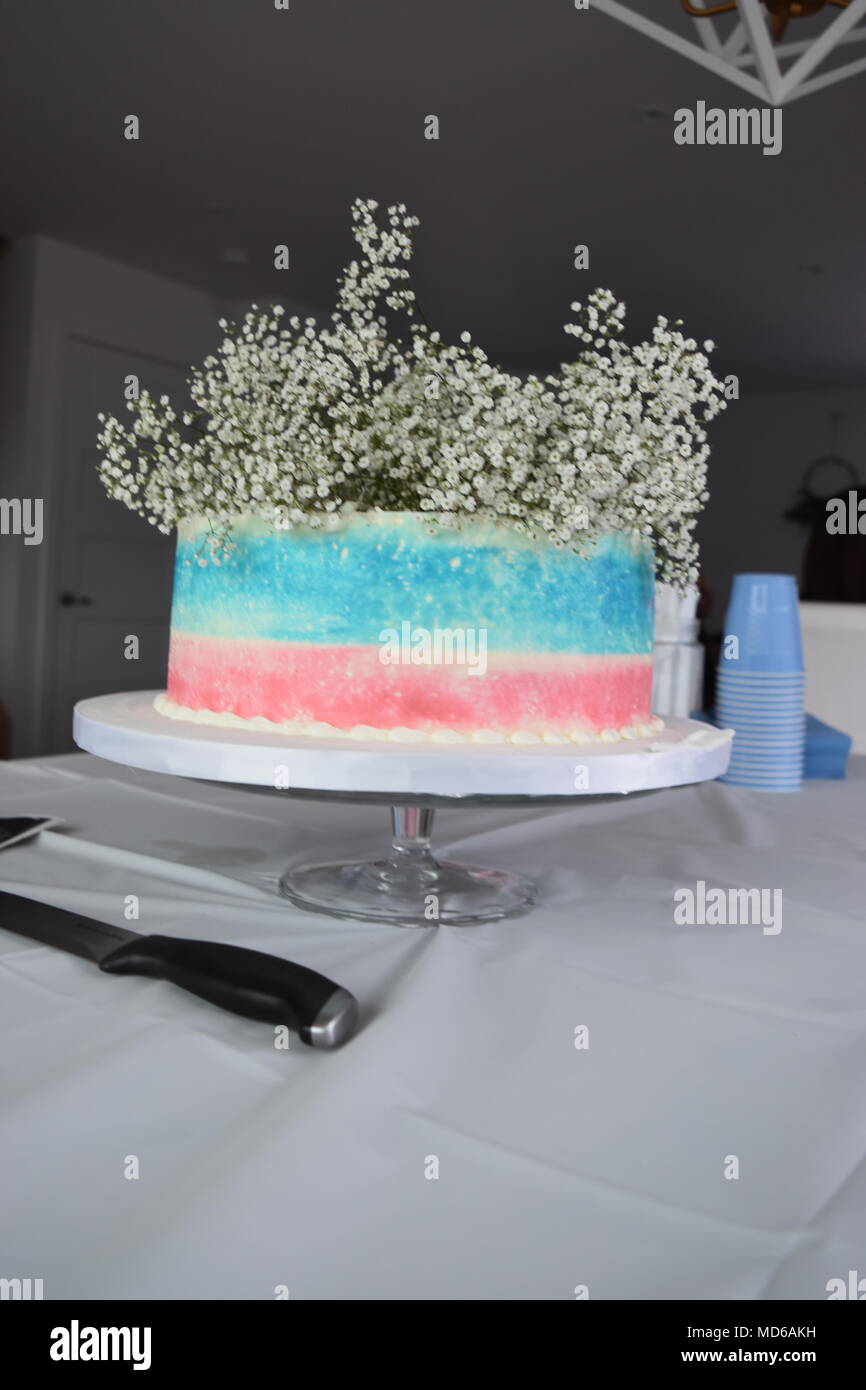 L'idée de gâteau révéler Banque D'Images