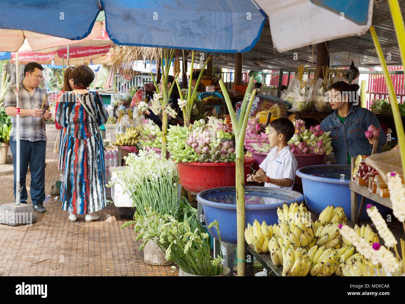 Siem Reap Cambodge - fleurs en vente sur un étal de fleurs, marché aux fleurs, la ville de Siem Reap, Cambodge Asie Banque D'Images