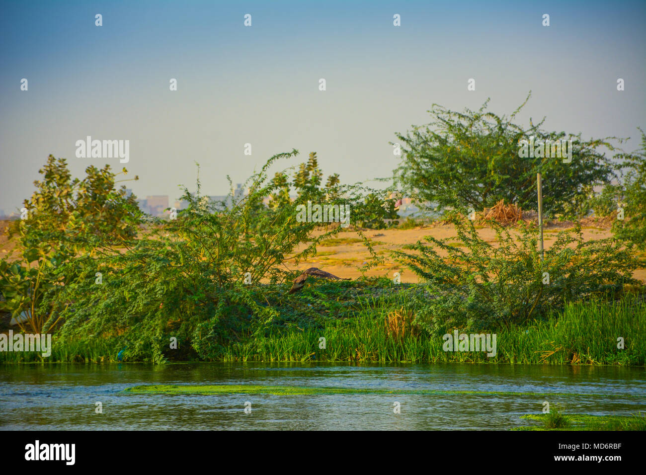 Green Valley River, Jeddah - Arabie saoudite Banque D'Images