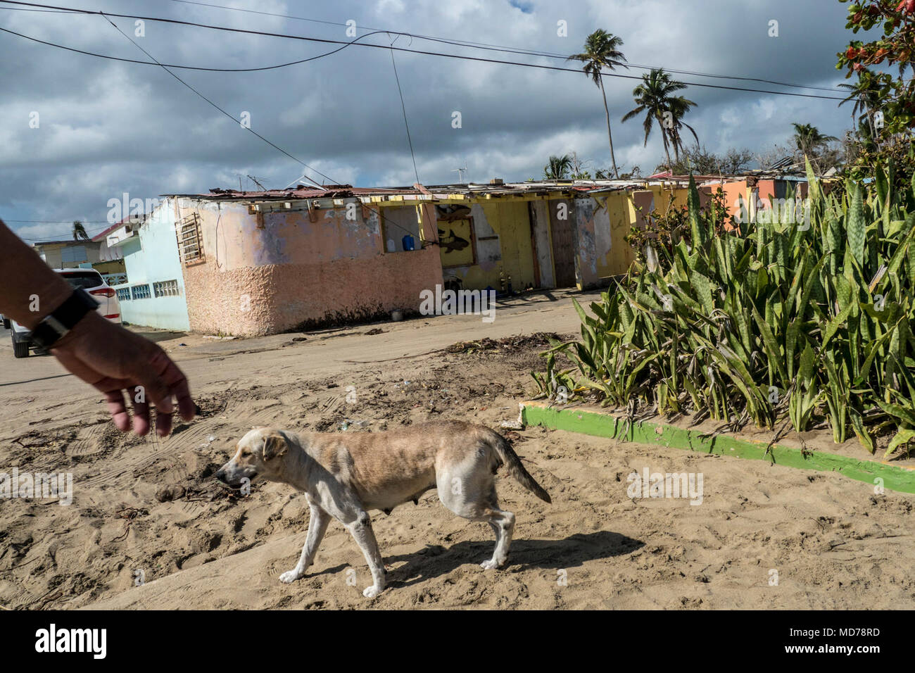 Comme la plupart des résidents de l'île, ceux qui vivent dans la ville côtière de Loiza, Puerto Rico se trouve toujours nettoyer après les tempêtes. Non seulement l'Ouragan Maria endommagé la ville, mais il a détruit les barrières naturelles qui empêchent les eaux de la hausse sans cesse et endommager les routes de la côte. Banque D'Images