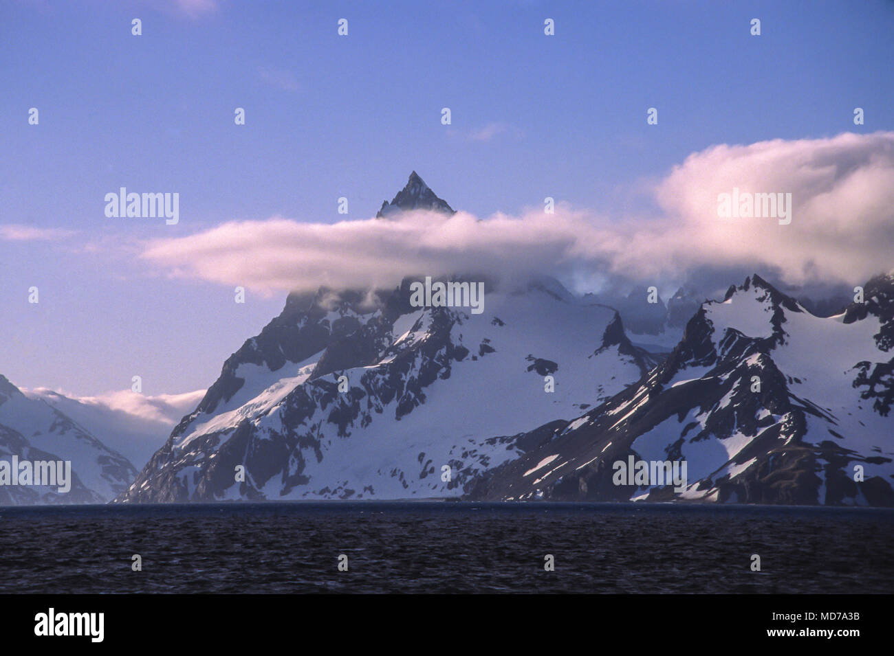 L'île de Géorgie du Sud, l'Antarctique Banque D'Images