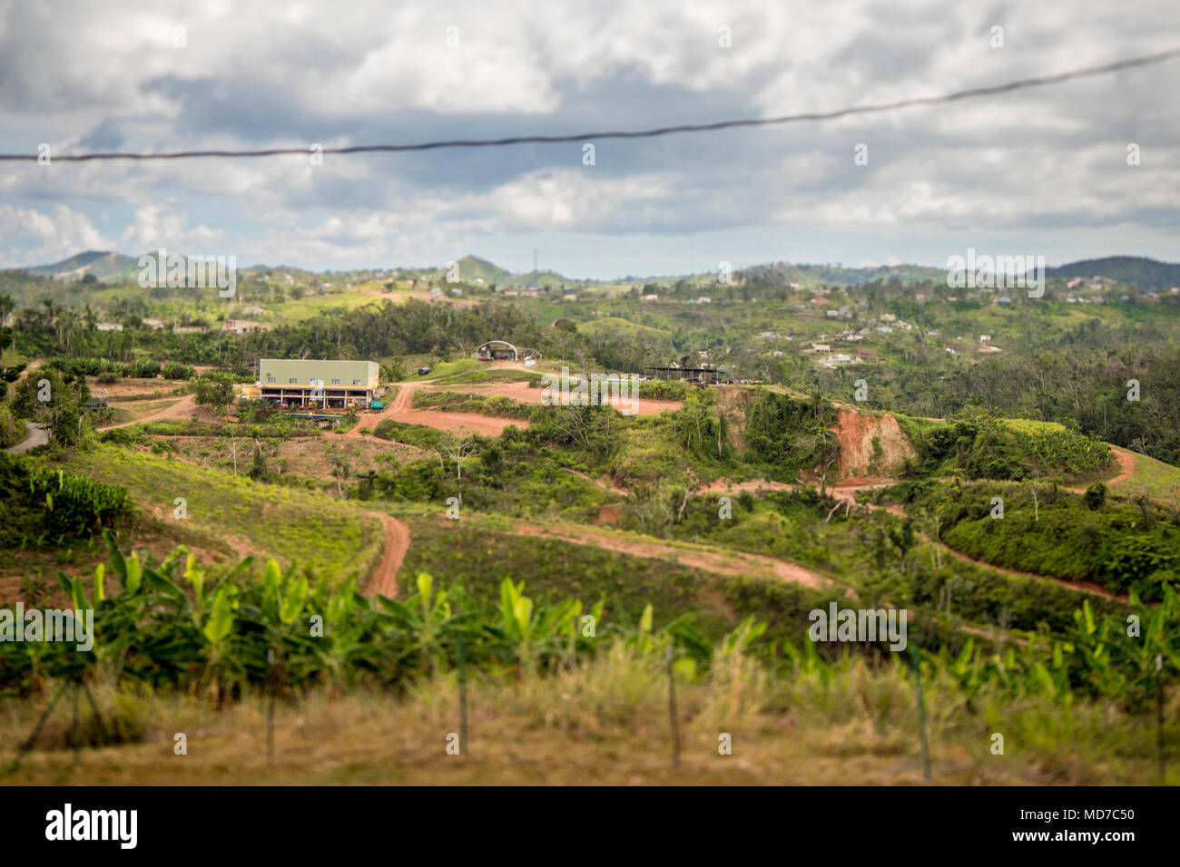 Norman Santiago exploite l'Empresas Norhen Inc. ferme à Moca, communication dans le cadre de la Farm Service Agency (FSA) du Programme d'aide en cas de récolte non assurés. En raison de l'Ouragan Maria, Santiago tout perdu et commence maintenant sur la plantation, l'arbre à pain, les plantains, les herbes, aubergines, bananes, ignames, et plus encore. Banque D'Images