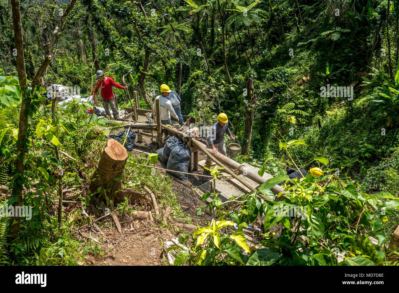 Six mois après l'Ouragan Maria, seule une petite partie de forêt nationale de El Yunque, Puerto Rico, est à la disposition du public. Ailleurs dans le parc, les entrepreneurs travaillent à obtenir le prêt pour les visiteurs tout au long de la forêt. Avant qu'une corde et la promenade a été installé, les travailleurs a pour transporter les fournitures à la main de haut en bas la forêt raide collines pour réparer un système d'eau qui a été endommagée. Banque D'Images