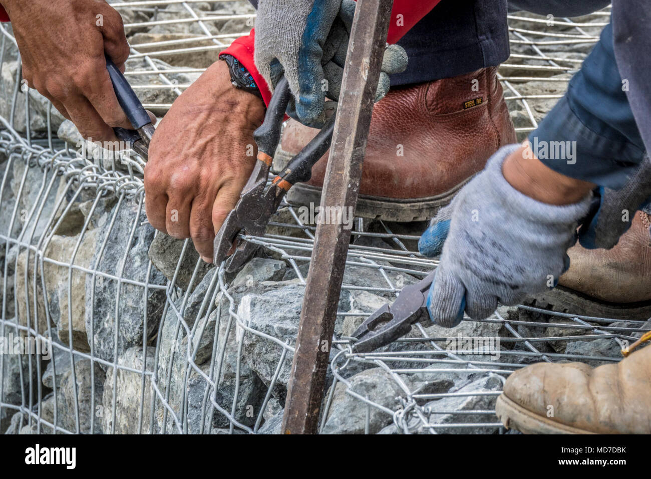 Six mois après l'Ouragan Maria, seule une petite partie de forêt nationale de El Yunque, Puerto Rico, est à la disposition du public. Ailleurs dans le parc, les entrepreneurs travaillent à obtenir le prêt pour les visiteurs tout au long de la forêt. De nombreux glissements de terrain dans la forêt décimée routes à divers degrés, la fermeture de l'accès à une grande partie de la plus populaire. Banque D'Images