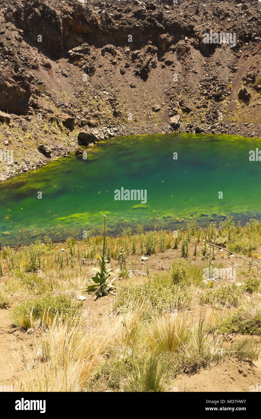 Le lac El Escorial par l'action de la lave volcanique. Nalcas Réserve Nationale, parc national. Patagonie chilienne, Chili. Banque D'Images