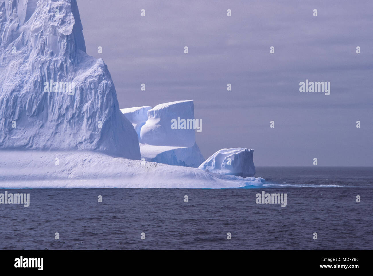 Immense iceberg flotte dans la mer près de l'Écosse Péninsule antarctique. Banque D'Images