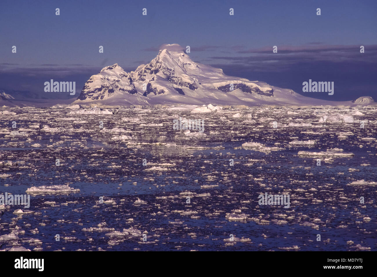 Glacier Peak, et des blocs de glace, péninsule antarctique. Banque D'Images