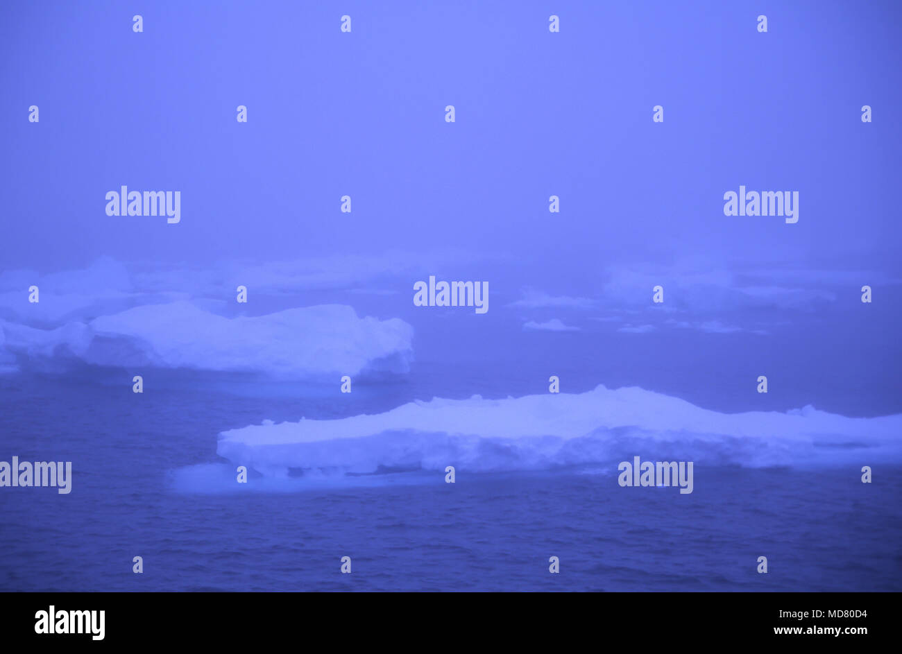 Iceberg flotte dans la mer près de l'Écosse Péninsule antarctique. Banque D'Images