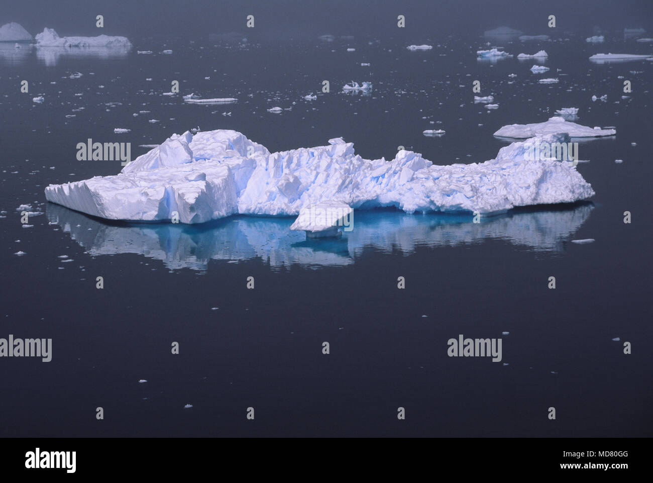 Iceberg flotte dans la mer près de l'Écosse Péninsule antarctique. Banque D'Images