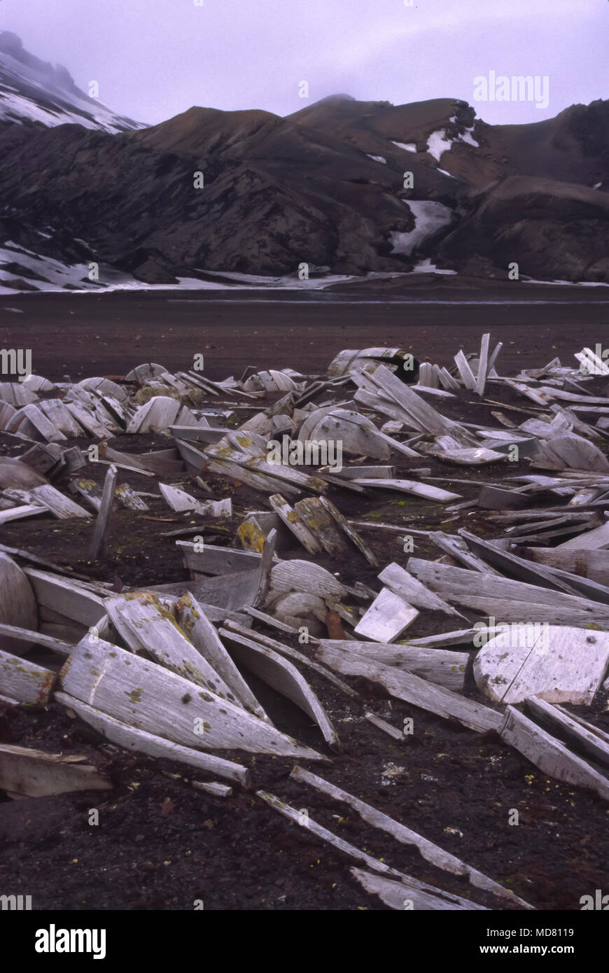 Des tonneaux de bois, l'Île Déception, péninsule antarctique. Banque D'Images