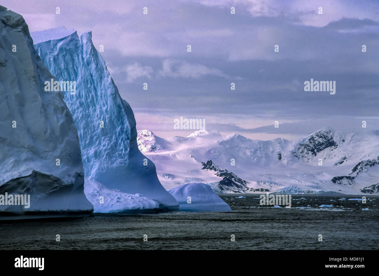 Les glaciers, l'île de l'éléphant, péninsule antarctique. Banque D'Images