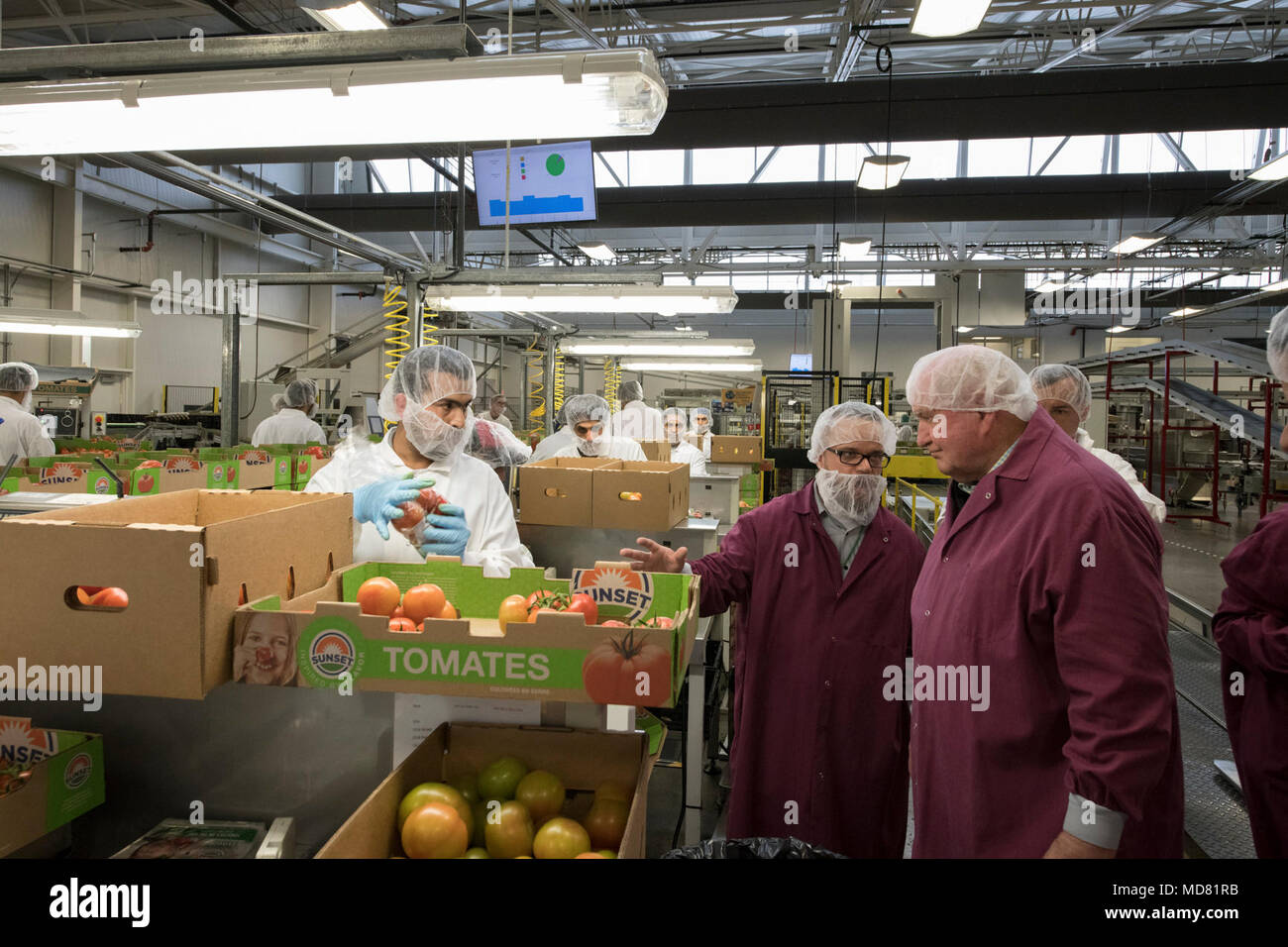 Secrétaire de l'Agriculture des États-Unis Sonny Perdue tours Mastronardi Produire, Coldwater, MI, le 3 avril 2018. Fondée par Umberto Mastronardi il y a plus de 60 ans, la quatrième génération de la famille Mastronardi possède et gère une exploitation de serres qui produisent des tomates, poivrons et concombres. Produire mûries sur pied est récolté à la main si possible. L'utilisation de serres la technologie moderne et des pratiques de culture durable pour réduire l'impact sur l'environnement (c.-à-d. ils utilisent un dixième de l'eau d'un producteur conventionnel). Leur deuxième phase de l'utilisation des serres en verre, l'énergie diffuse c Banque D'Images