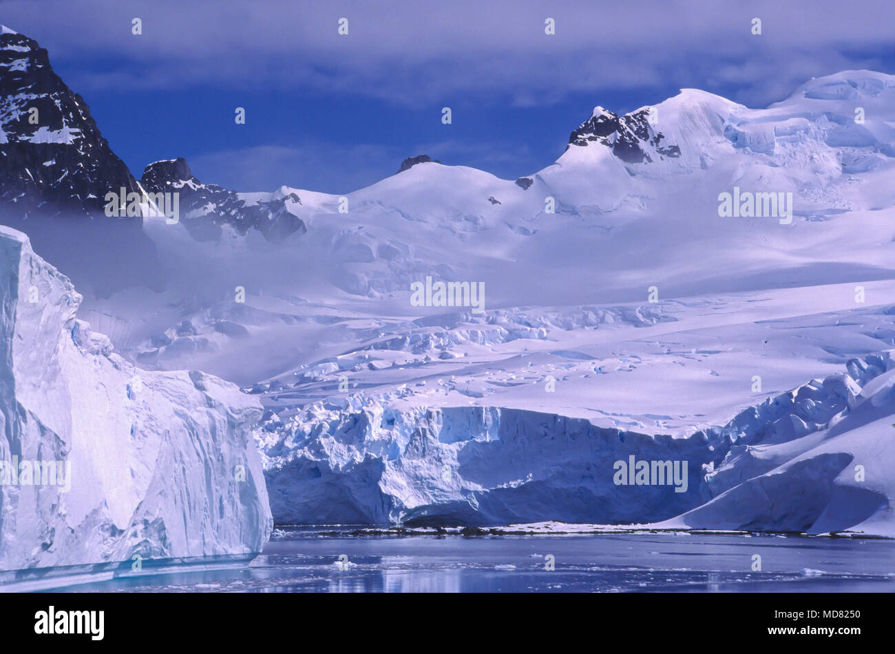 Les glaciers, Neko Inlet, péninsule antarctique. Banque D'Images