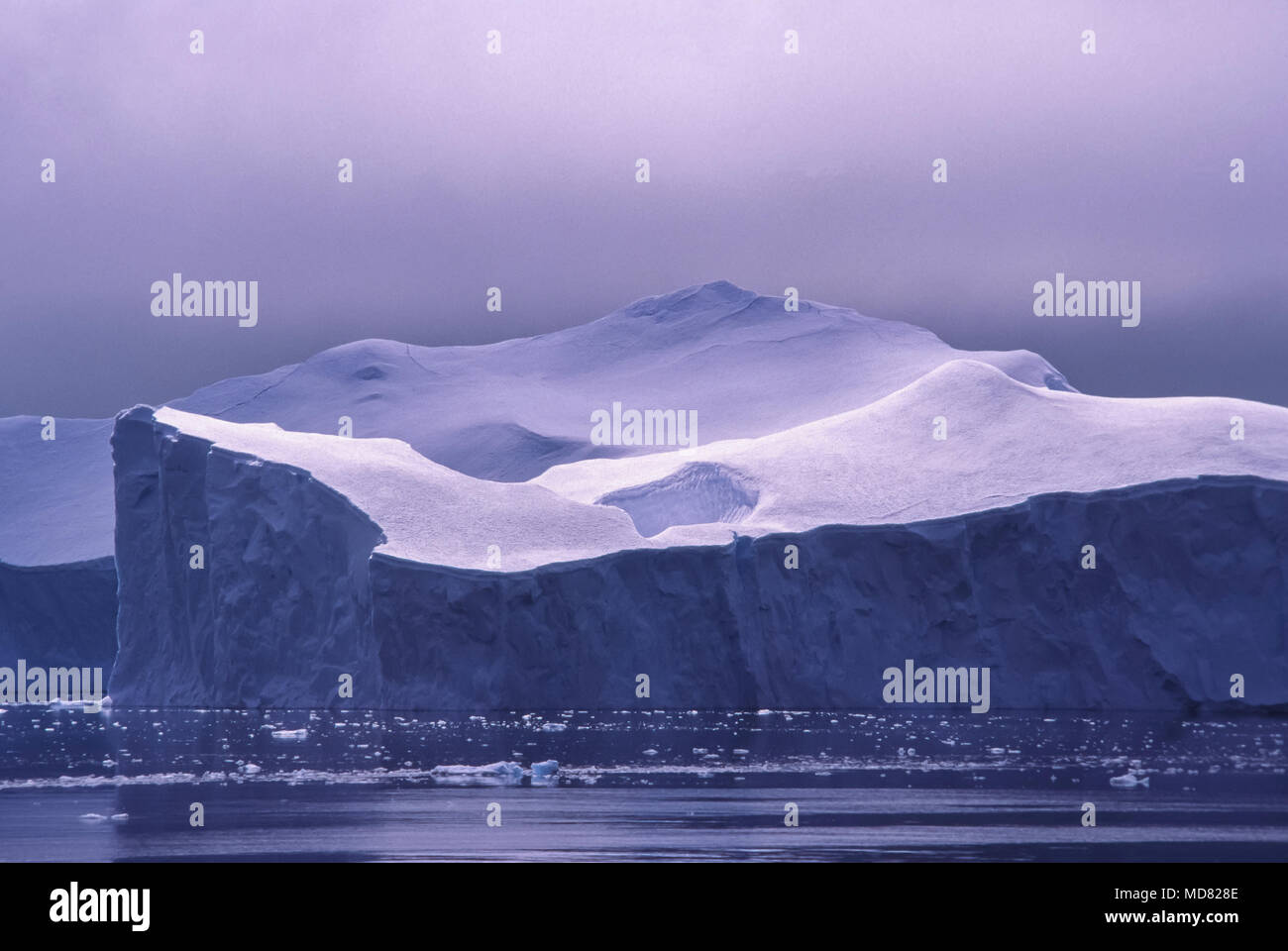 Immense iceberg flotte dans la mer près de l'Écosse Péninsule antarctique. Banque D'Images