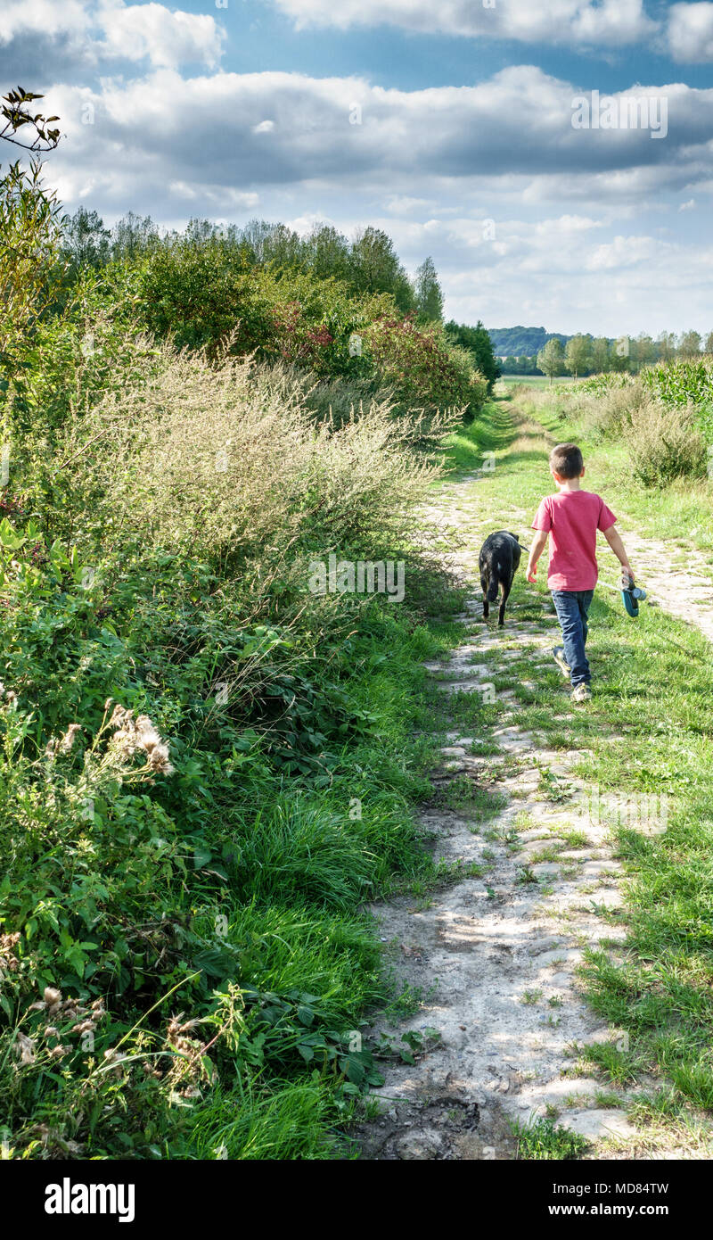 Vue arrière du boy walking with pet dog sur chemin à travers grass field Banque D'Images