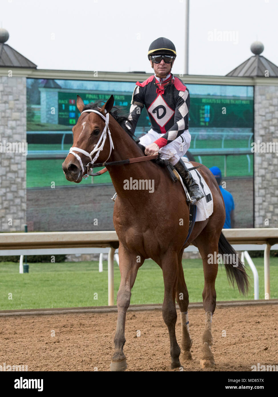 Secrétaire de l'Agriculture des États-Unis Sonny Perdue guidée de Keeneland Race Track inclus sur course de chevaux activités et opérations en Lexington, KY, le 6 avril 2018. Cela fait partie de la troisième "retour à nos racines" RV d'. "Comme toujours, notre 'Retour aux sources' RV excursion est une occasion de sortir de Washington, D.C. d'entendre directement le peuple américain dans la communauté agricole," a déclaré le secrétaire perdue. "Alors que le Congrès continue son travail sur le projet de loi sur l'agriculture, la prospérité rurale, et beaucoup d'autres priorités de l'agriculture, de l'USDA est prête à aider dans toute la mesure du possible et d'être une voix pour un Banque D'Images