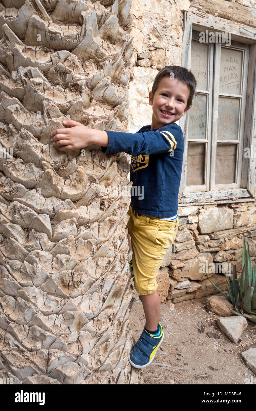 Portrait of boy hugging palm tree trunk Banque D'Images