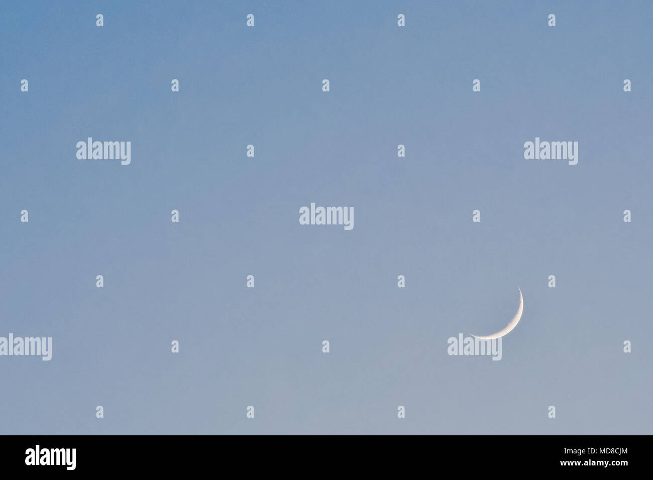 Lune en bleu ciel. Dernière lumière de la lune dans un ciel bleu, copy space Banque D'Images
