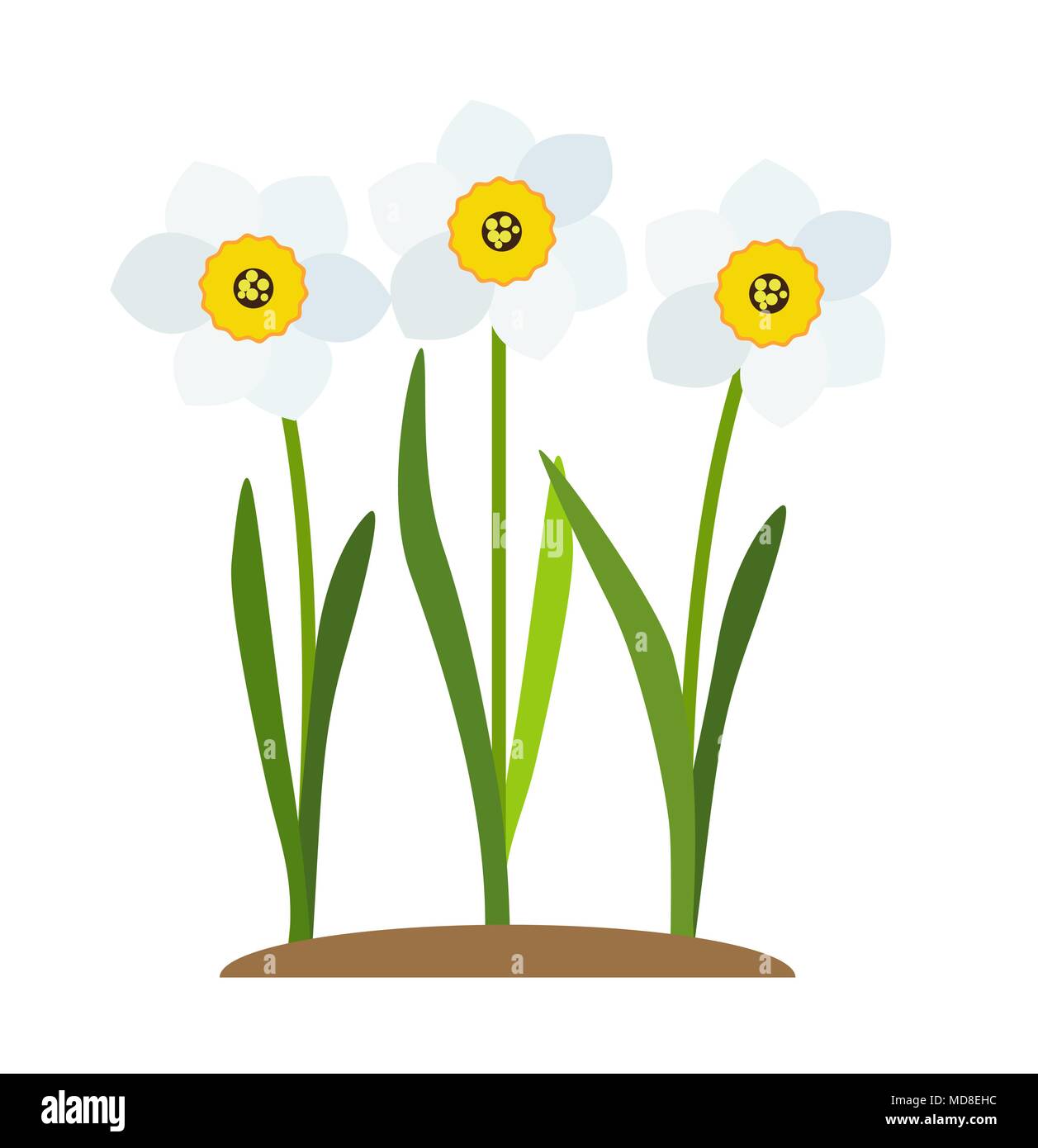 Printemps Fleurs Narcisse Background Vector Illustration Illustration de Vecteur