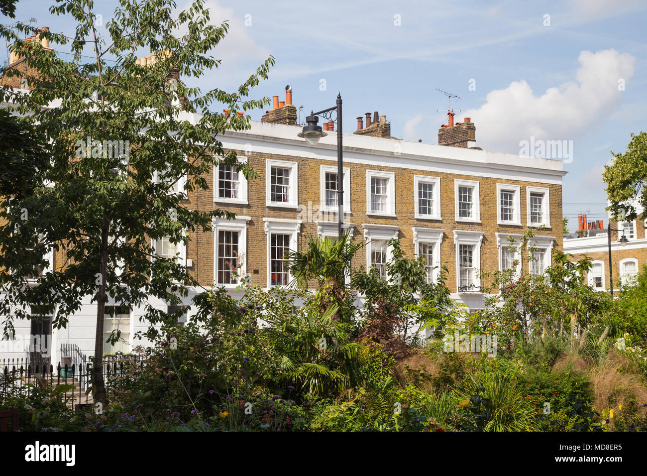 Un beau coin ombragé, planté d'Arlington square garden with early Victorian maisons en terrasse à l'arrière-plan, à Islington, au nord de Londres, N1 Banque D'Images