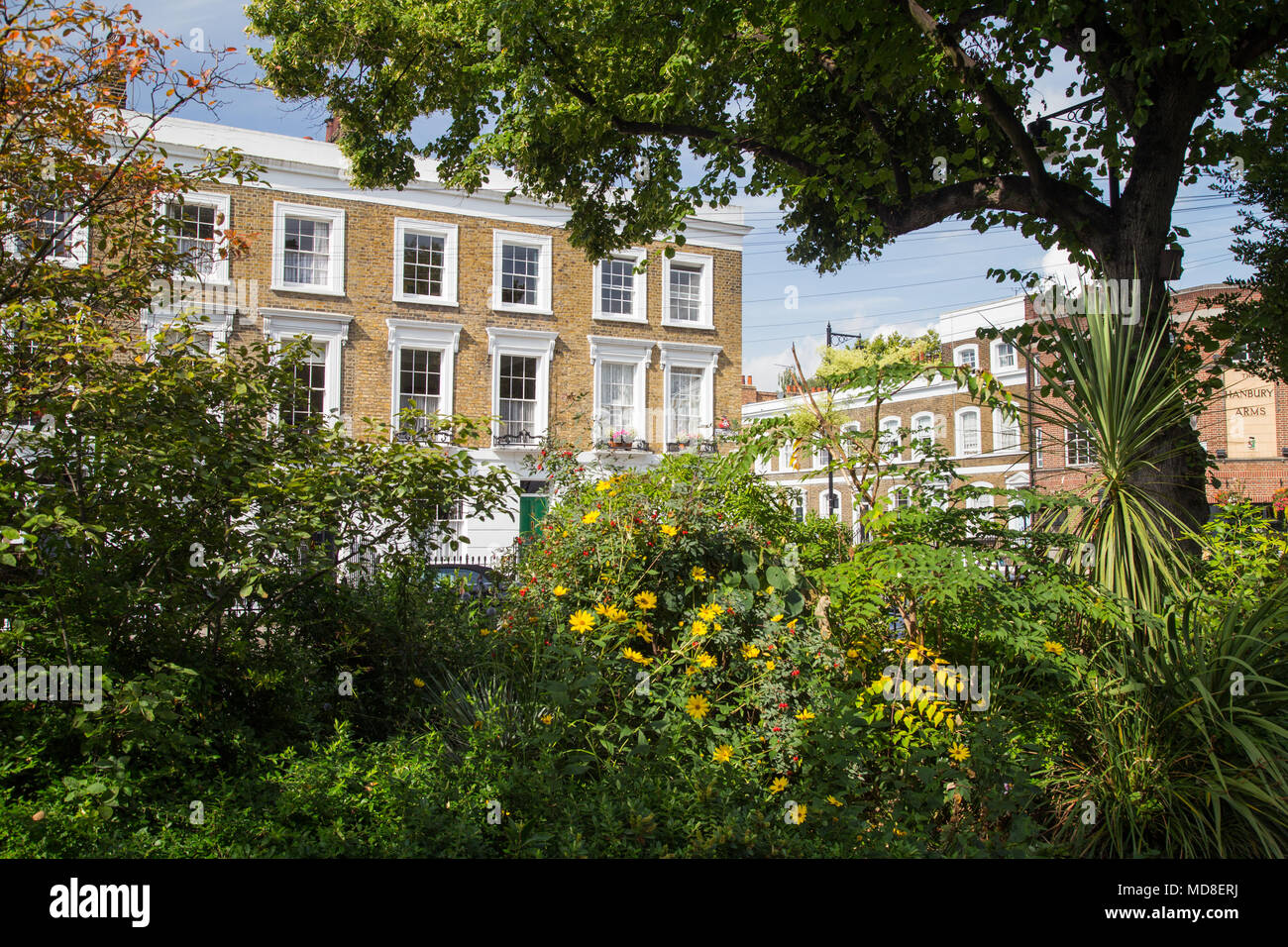 Un beau coin ombragé, planté d'Arlington square garden with early Victorian maisons en terrasse à l'arrière-plan, à Islington, au nord de Londres, N1 Banque D'Images