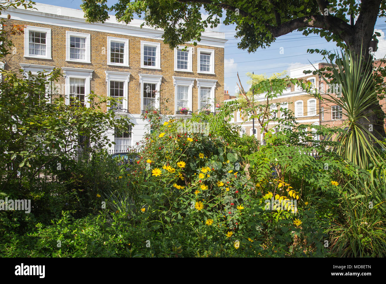 Un beau coin fleuri rempli du jardin d'Arlington Square avec des maisons en terrasses victoriennes en arrière-plan à Islington, Londres, N 1 Banque D'Images