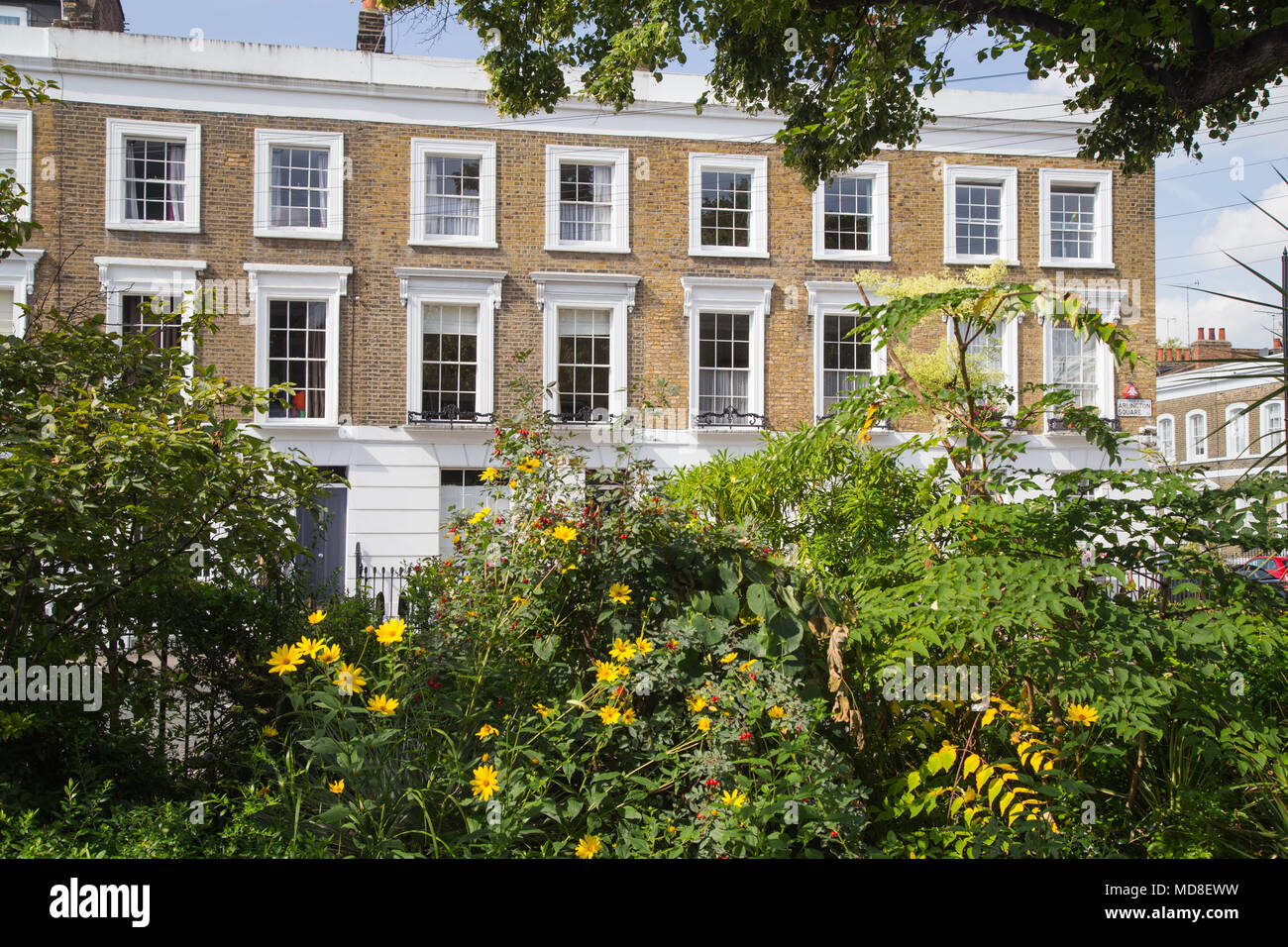 Un beau coin ombragé, planté d'Arlington square garden with early Victorian maisons en terrasse à l'arrière-plan, à Islington, au nord de Londres, N1 Banque D'Images