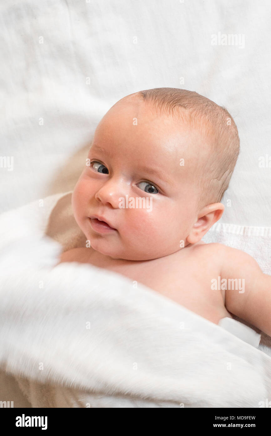 Close-up of Baby Boy in towel Banque D'Images