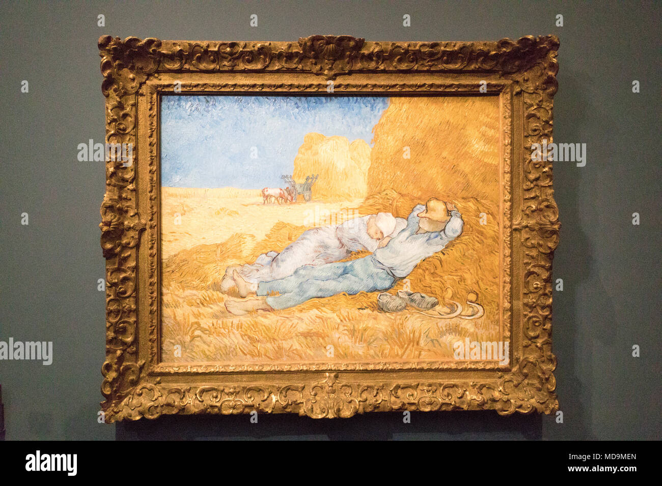 Peinture Van Gogh Au Louvre Paris, France. Feb 2018. Musée du Louvre, Musée du Louvre. Musée d'Orsay.  Tour Eiffel. Arc de Triomphe. Van Gogh. Gioconda. L'art et la culture Photo  Stock - Alamy