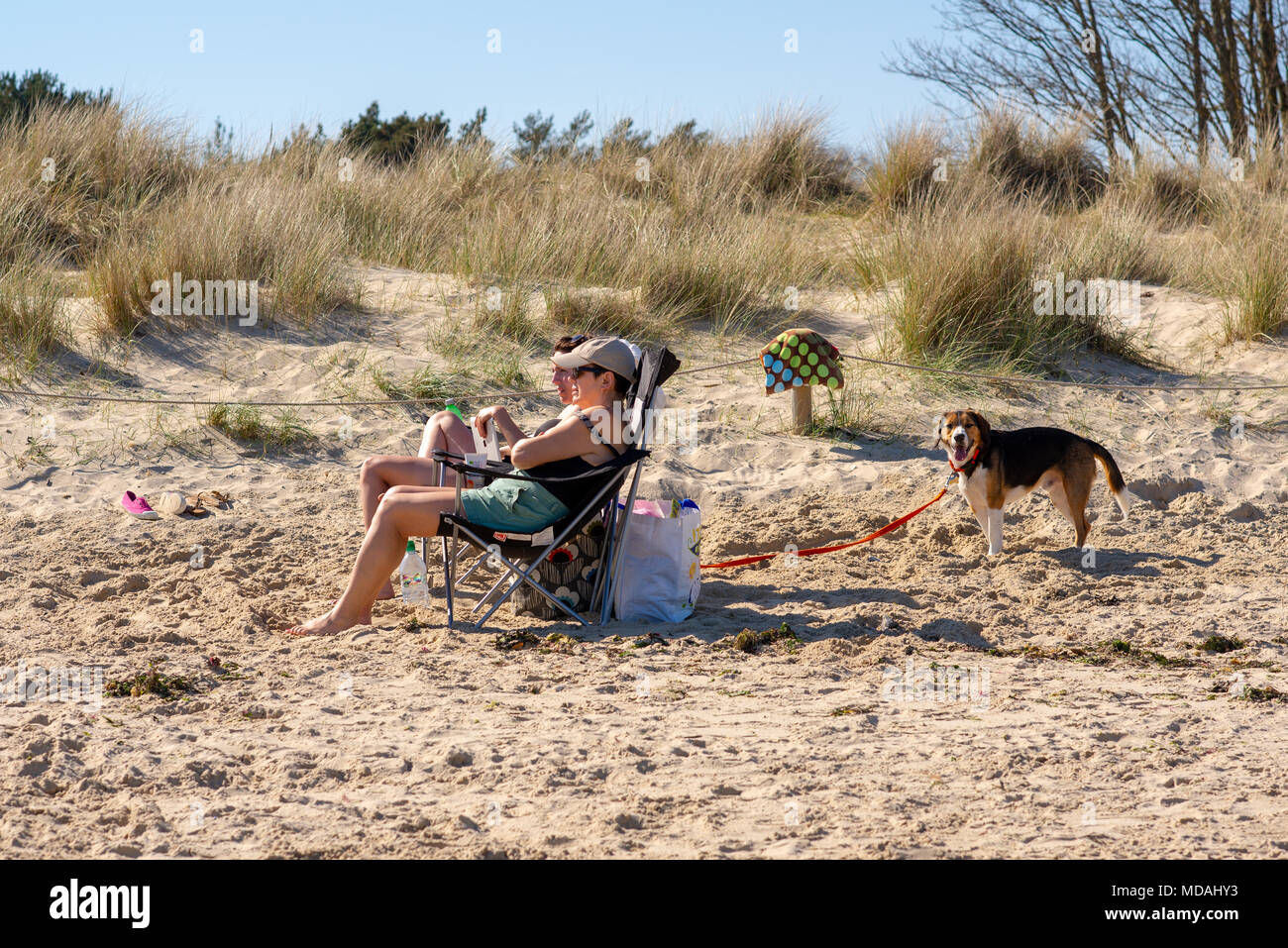 Studland, Dorset, Royaume-Uni, 19th avril 2018, Météo : les gens sur la plage de sable après-midi se prélasser du soleil et profiter de la chaleur sur ce qui pourrait être le jour d'avril le plus chaud pendant près de 70 ans. Un couple assis dans des transats face au soleil avec un chien en laisse derrière lui. Banque D'Images